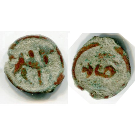 Bukharian Soghd, Camel/Legend 6-7 Ct AD (21568)