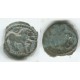 Chach, Horse 7-8 Ct AD, Sh&K #77 (24580)